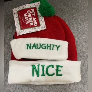 ✨🎄Naughty and Nice Pet and Owner Hats🎄✨